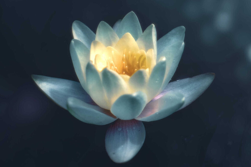 Psychotherapie Bad Belzig