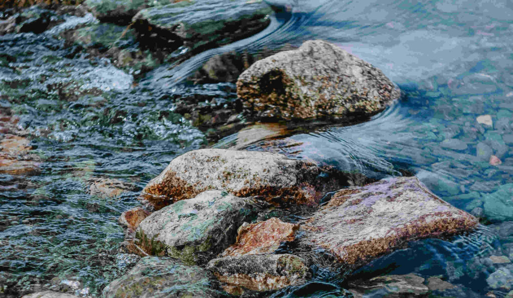 Psychotherapie Bad Belzig